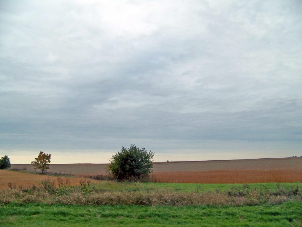A flat, open farmland stretches under a cloudy sky, with patches of green grass and a few scattered trees adding subtle color to the muted, autumnal landscape.